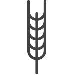 Gluten içeren tahıllar ve bunların ürünleri