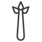 Kereviz ve kereviz ürünleri